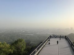 -紫金山山顶公园