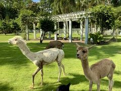 -东南花都花博园