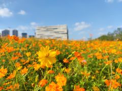 -武汉理工大学（南湖新校区）-图书馆