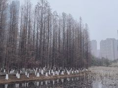 -艾溪湖湿地公园