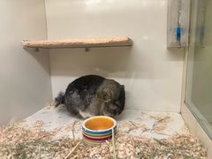 -龙猫仔乐园(惠福东路店)