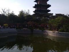 -迎泽公园