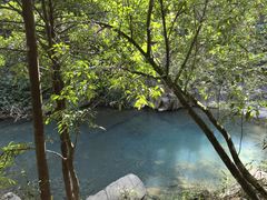 -广州白江湖森林公园