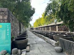 -鄞州雪菜博物馆