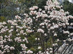 -塔子山公园