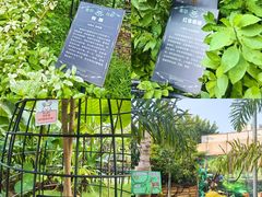 -正佳雨林生态植物园