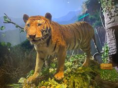 -陕西自然博物馆