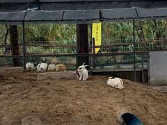 -前小桔亲子创意农场·草莓采摘·露营烧烤