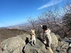 -阳台山自然风景区