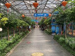 -南宫五洲植物乐园