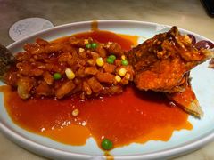 姑苏松鼠鱼-探花·意境江南菜·唐伯虎文化体验店·松鼠桂鱼(观前店)