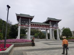 -王借岗森林公园