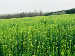 -汉长安城未央宫国家考古遗址公园