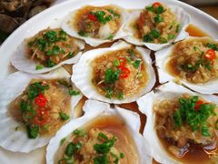 蒸扇贝-全渔村小海鲜