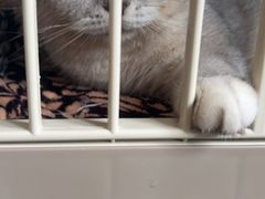 -艾贝尔宠物医院 ·中兽医·宠保定点(北门桥店)