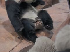 -秦皇岛野生动物园