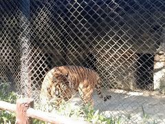 -海南热带野生动植物园