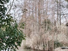 -沙家浜风景区