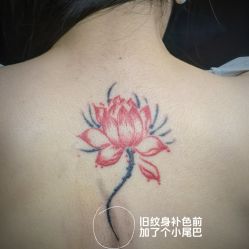 -SNOW TATTOO STUDIO
