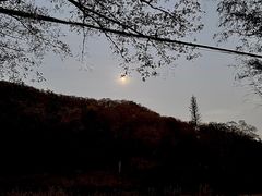-南京老山国家森林公园
