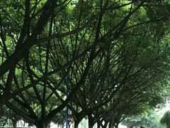 -西南政法大学(渝北校区)