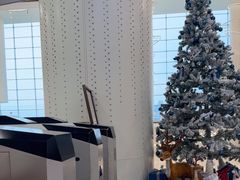 -世纪星滑冰俱乐部(万象城店)