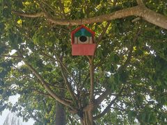 -三亚海棠湾万丽度假酒店