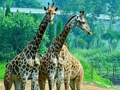 -石家庄市动物园