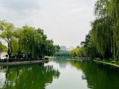 -青年湖公园水上世界
