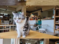 -小时光咖啡馆(开森度假森林店)