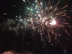 -梁子湖东篱老屋生态庄园