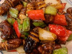 炒蚕蛹-渔娘渔家丹东海鲜(东直门店)