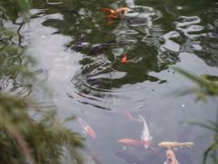 -国恩寺