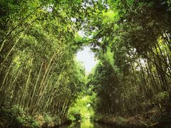 -同里国家湿地公园