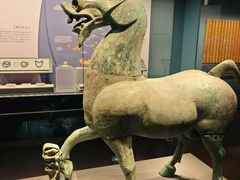 -广西壮族自治区博物馆