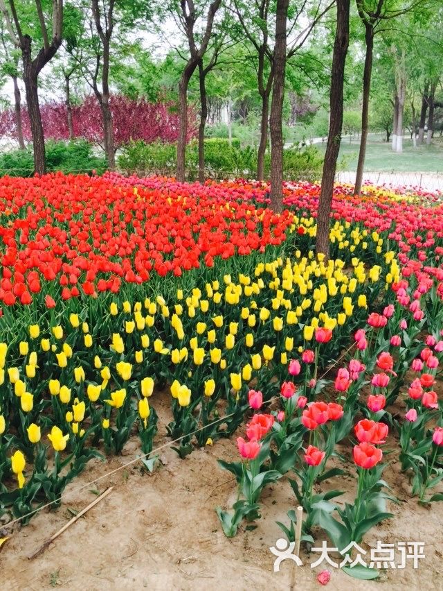 兴旺公园图片 - 第23张