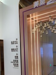 -深圳美莱医疗美容医院