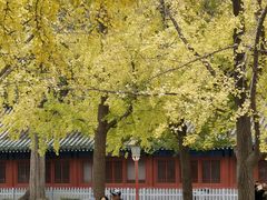 -北京国子监胡同