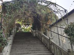-乌山风景区