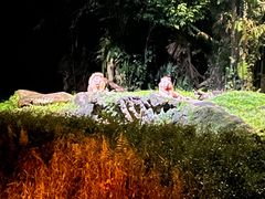 -夜间野生动物园
