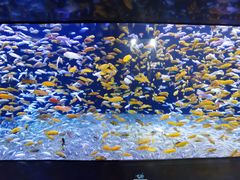 -成都浩海立方海洋公园