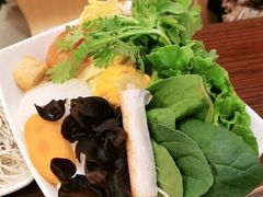 经典蔬菜拼盘-呷哺呷哺(世贸.工三店)