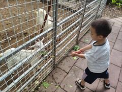 -厦门悦华酒店