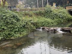 -美食村花园餐厅