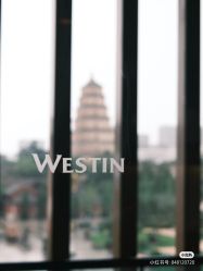 -西安威斯汀大酒店·宴会厅