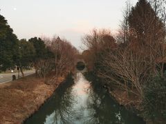 -同里国家湿地公园