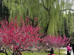 -北京植物园南门售票处