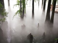 -东湖落雁景区