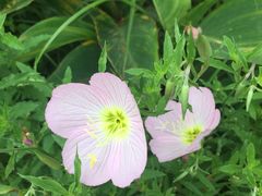 -贵阳市花溪国家城市湿地公园