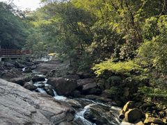 -广州白江湖森林公园